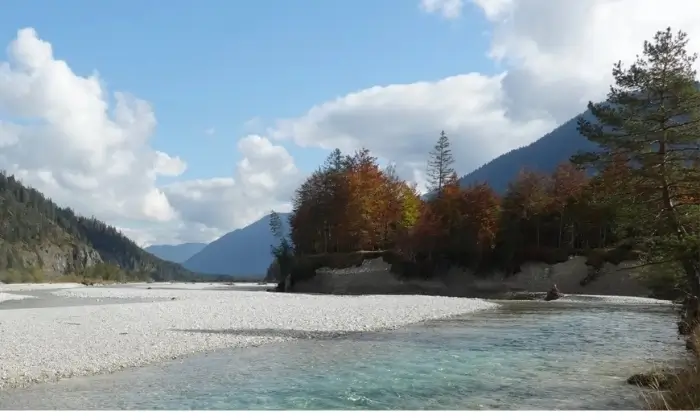 Die obere Isar hat sich zwischen Wallgau und dem Sylvensteinspeicher ihren ursprünglichen Charakter bewahrt und fließt wie vor rund 150 Jahren in einem weiten Bett mit ständig wechselnden Flussläufen zwischen Kiesbänken.